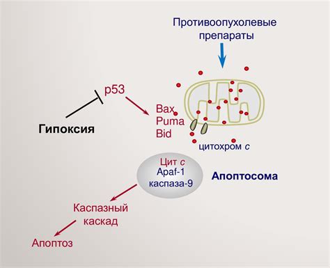 Недостаток кислорода