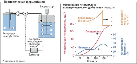 Недостаток контроля над процессом ферментации