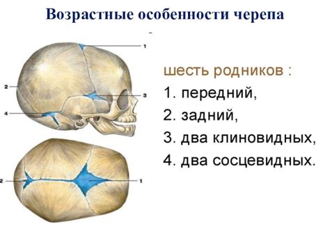 Недостаток поддержки головы: возрастные особенности