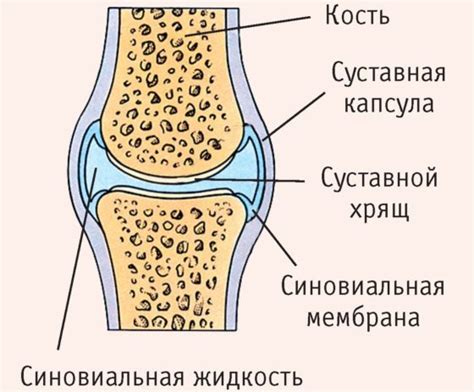 Недостаток синовиальной жидкости