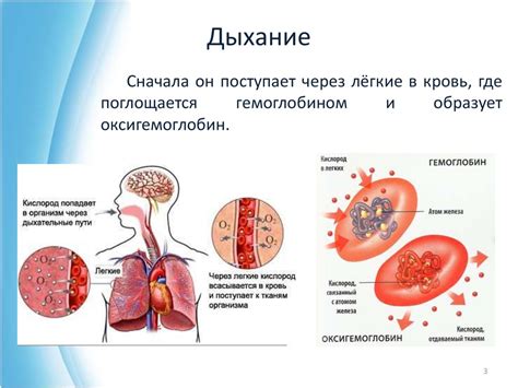 Недостаток углекислоты и кислорода в организме