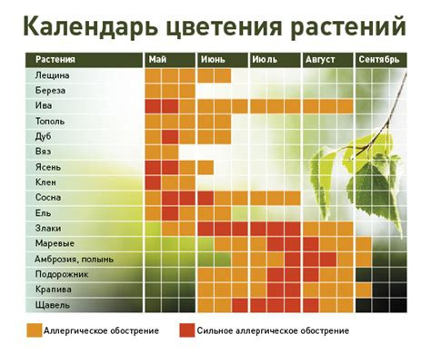 Недостаток ухода: необходимые меры для поддержания цветения