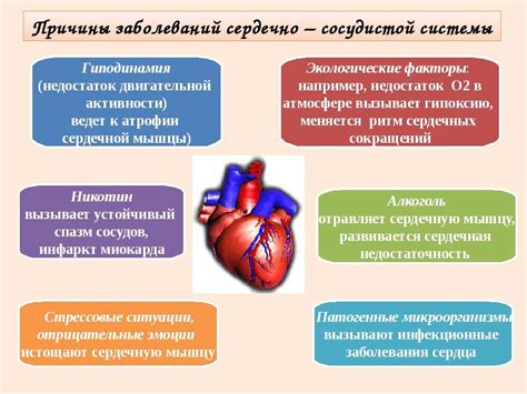 Недостаток физической активности и слабость сердечно-сосудистой системы