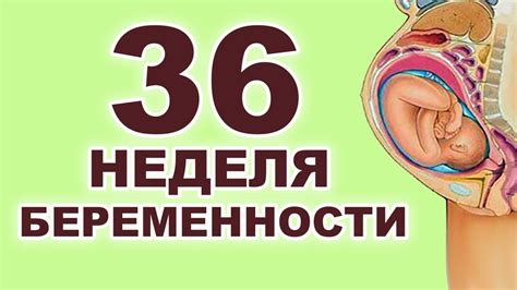 Недостаточная активность ребенка на 36 неделе беременности: причины и что делать