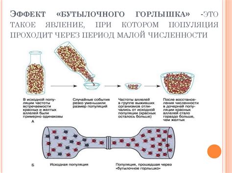 Недостаточная погруженность детского бутылочного питания