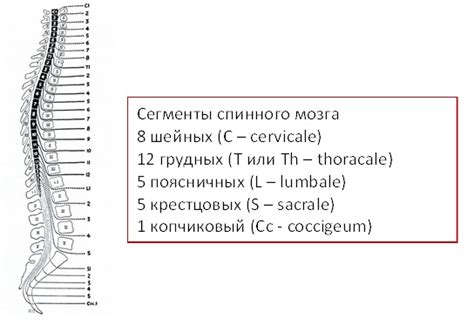 Недостаточное количество сегментов