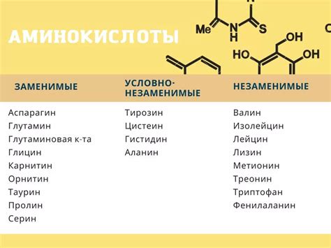 Незаменимые аминокислоты и их функции