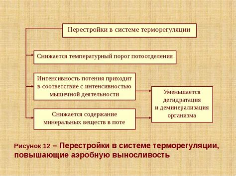 Неисправности в системе терморегуляции