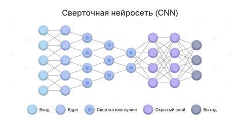 Нейронная сеть: базовые элементы