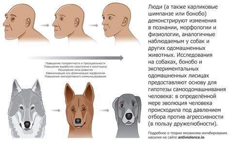 Некоторые моменты касательно нотариального удостоверения