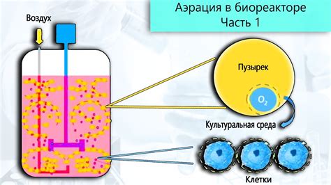 Ненадлежащая аэрация