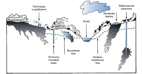 Необходимость воды