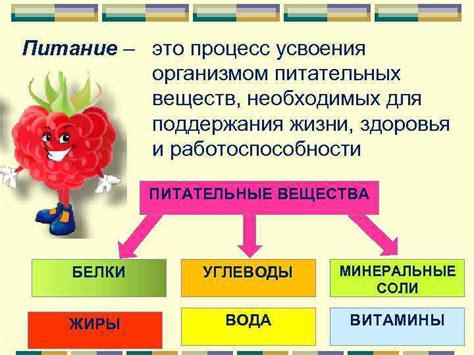 Необходимость воды для усвоения питательных веществ