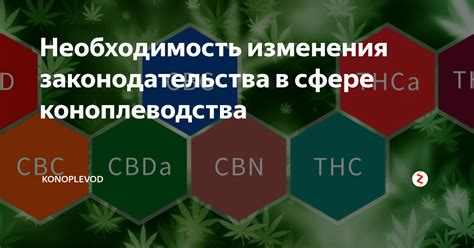 Необходимость изменения установившихся стереотипов