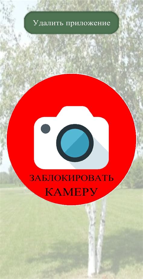 Необходимость отключения кинематографической камеры