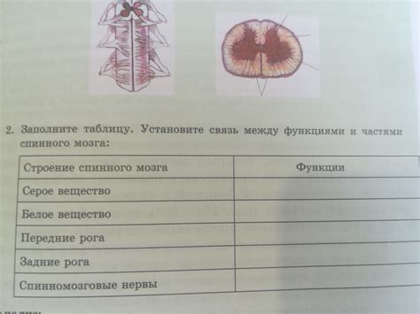 Необходимость серого глока и его значимость