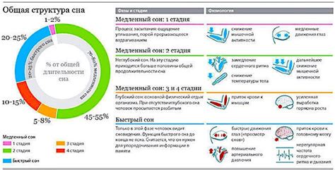 Необходимость сна и его основные функции