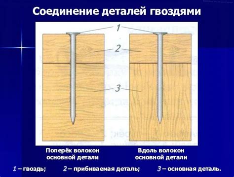 Необходимые инструменты для работы с гвоздями