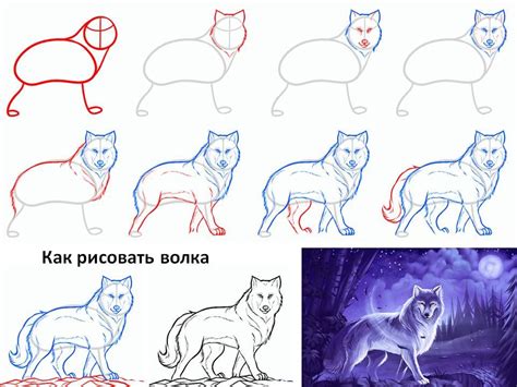 Необходимые инструменты и материалы для рисования тату волка