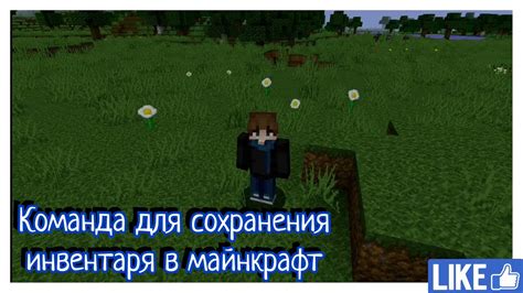 Необычные приемы для сохранения мира в Minecraft