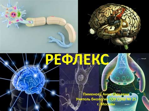 Неоткрытие определенных рефлексов