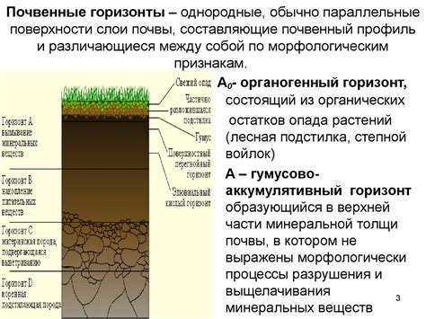 Неподходящий почвенный состав