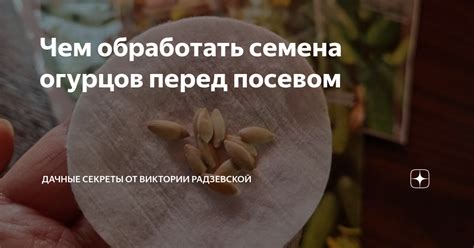 Непосредственно перед хранением