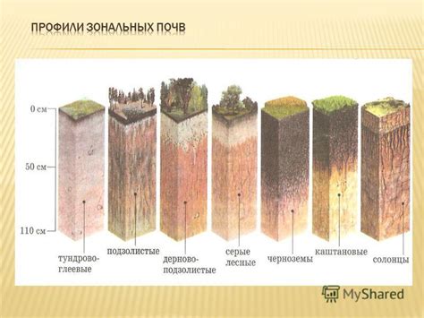 Неправильная почва и условия