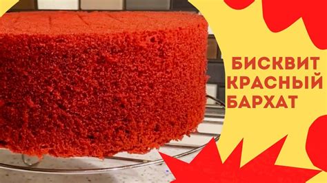 Неправильная пропекаемость бисквита красного бархата