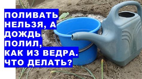 Неправильная установка ведра: что делать, чтобы предотвратить застывание ротбанда