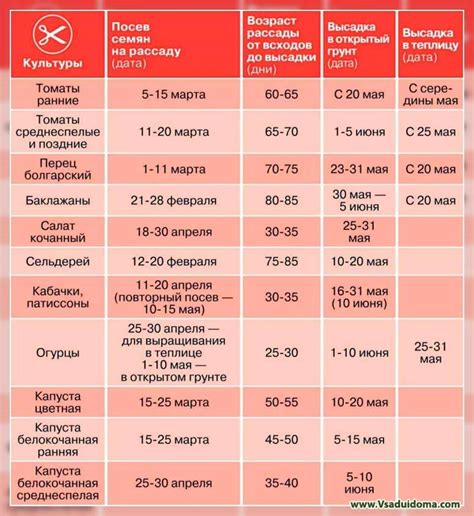 Неправильное время посадки семян