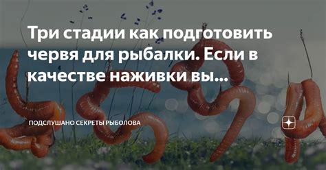 Неправильное использование червя как наживки