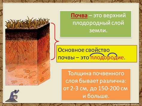 Неправильный состав почвы