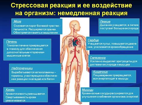 Нервное перенапряжение и механическая травма