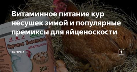 Несбалансированное питание кур