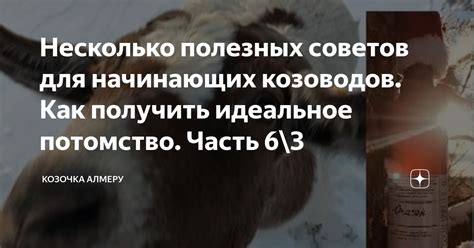 Несколько полезных советов для начинающих