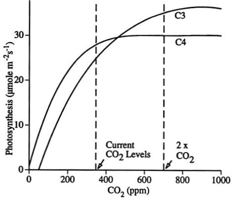 Несоблюдение баланса между светом, удобрениями и уровнем CO2