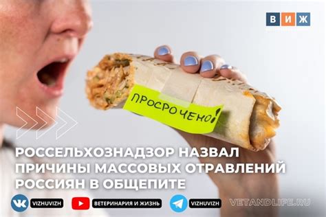 Несоответствие потребностей питания