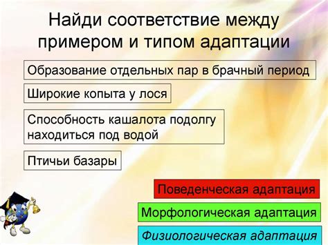 Неспособность крестоносцев к адаптации к условиям Востока