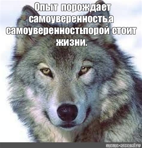 Неуместная самоуверенность