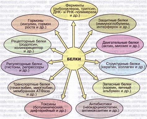 Неустойчивость белков