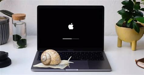 Не включается MacBook: возможные причины и решения