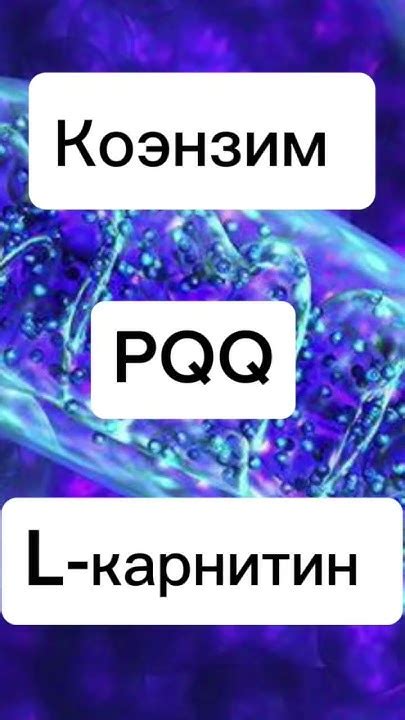 Не забывайте об отдыхе и сне для полноценной работы митохондрий