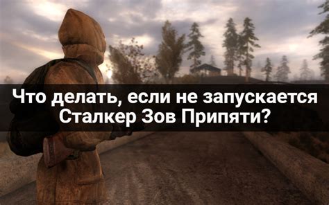 Не запускается "Сталкер Зов Припяти": что делать, если игра не открывается