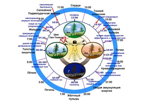 Низкая активность игроков в некоторое время суток