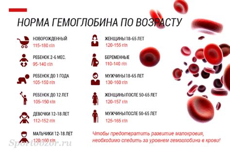 Низкий уровень гемоглобина у женщин старше 60 лет: важные факты