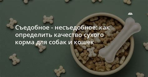 Низкое качество и подделка сухого корма