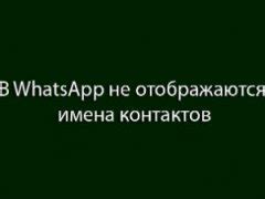 Новое решение WhatsApp: имена пропали, остались только номера