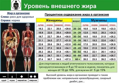 Нормальные значения индекса жира и их интерпретация