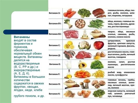 Нормальный обмен веществ